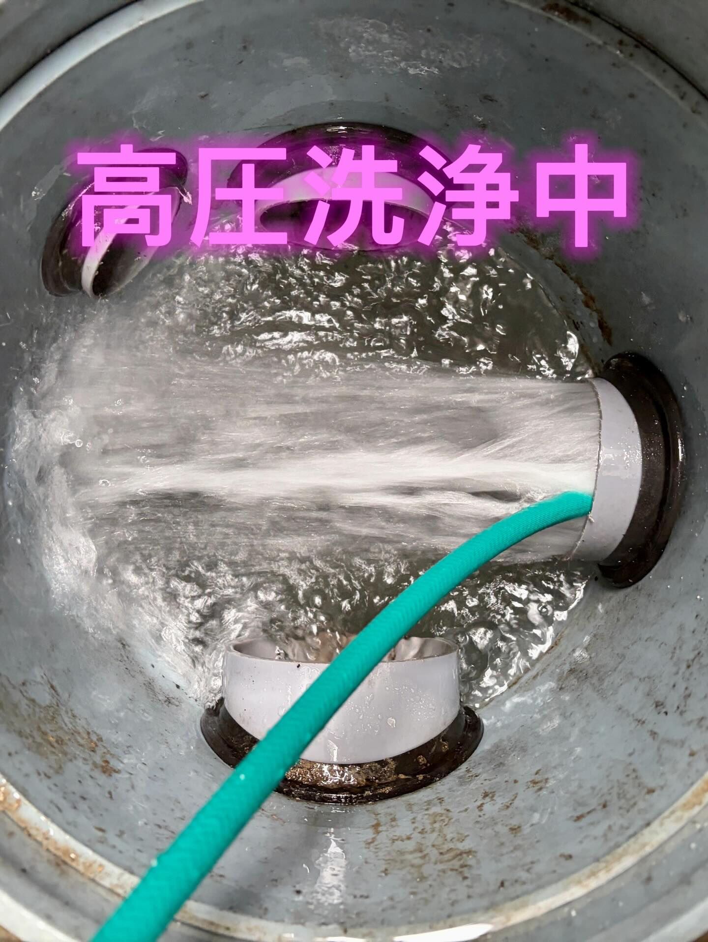 正直に言います