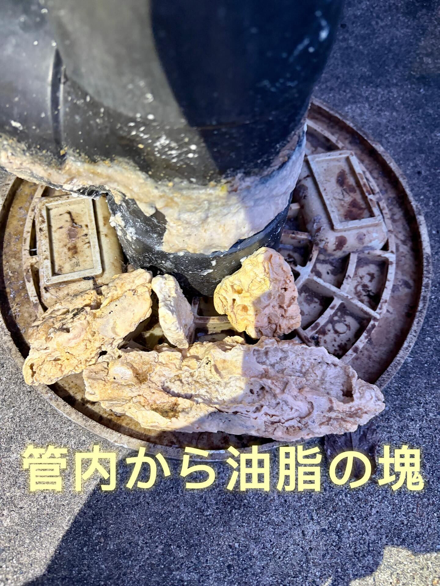 正直に言います