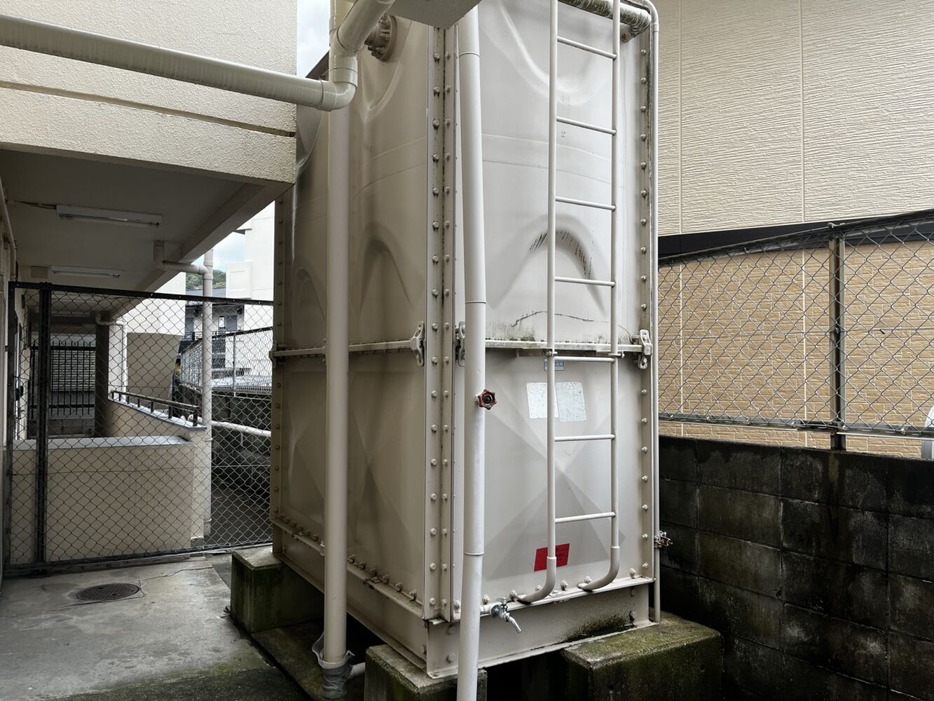画像3774