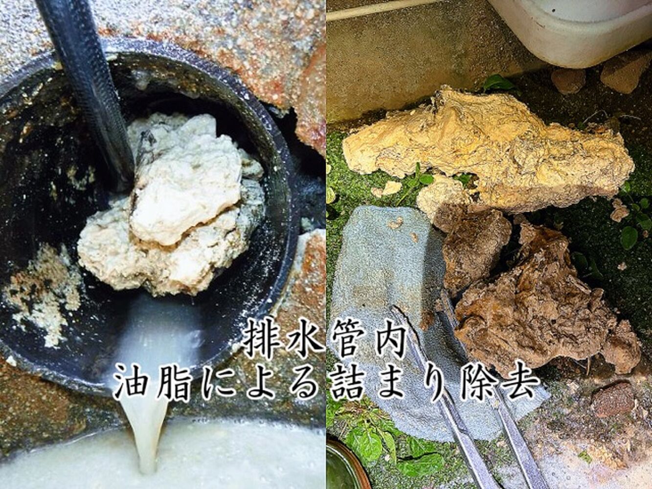 画像4327